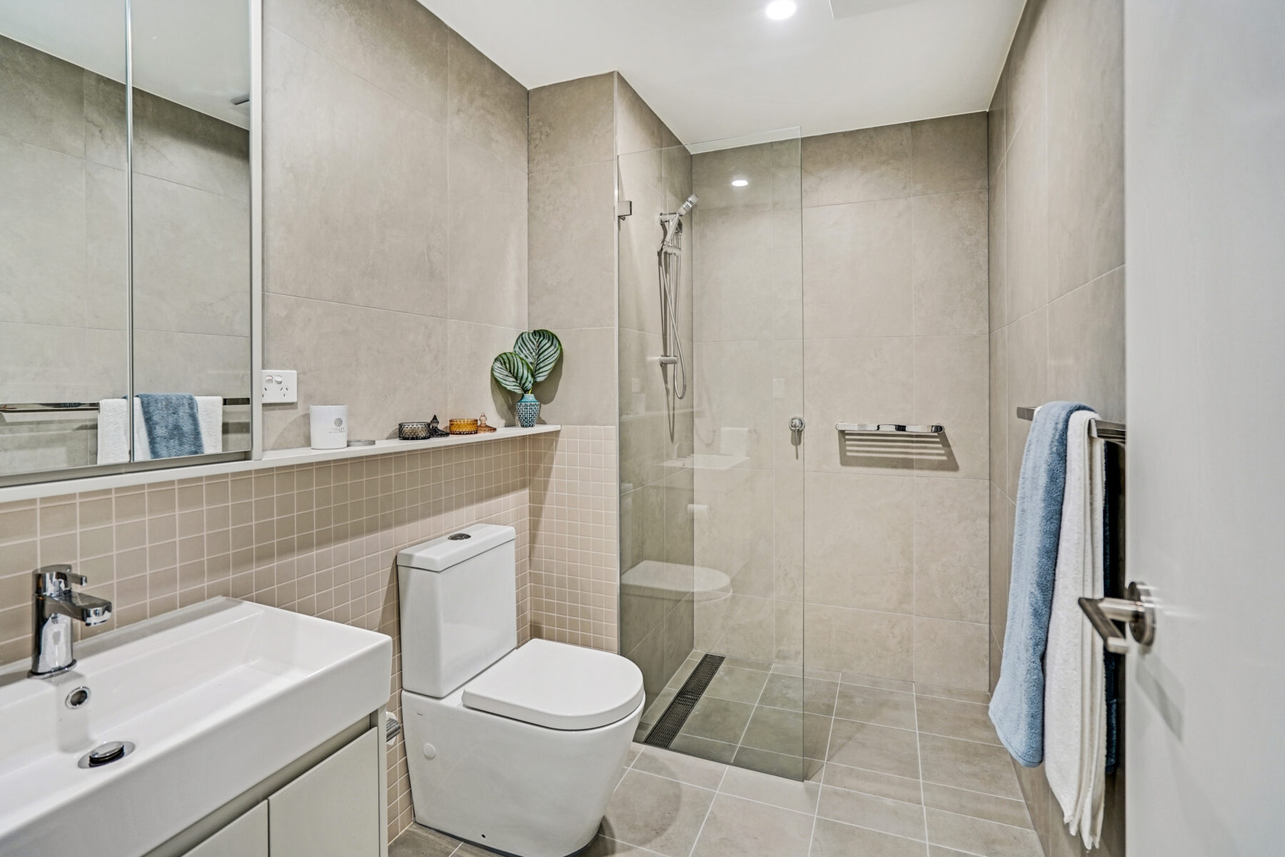 Zantia, Thornleigh