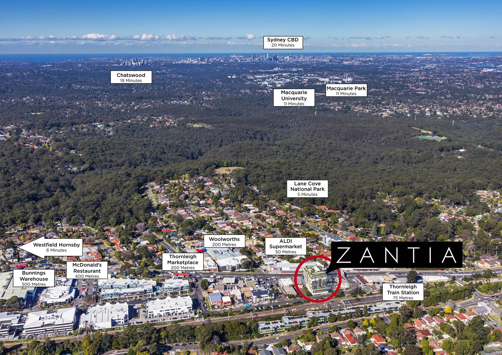 Zantia, Thornleigh